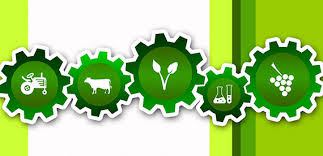 Administración para emprendimiento agropecuario